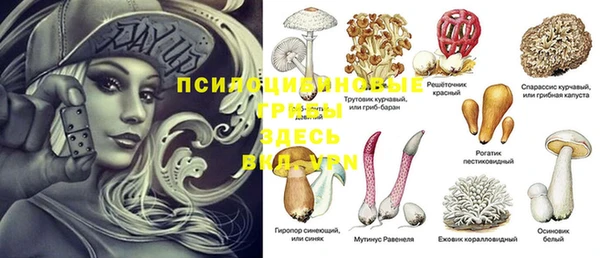 прущие крисы Алзамай