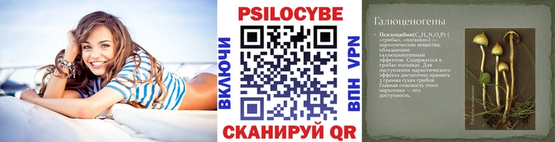 купить   Щёлкино  МЕГА сайт  Галлюциногенные грибы прущие грибы 